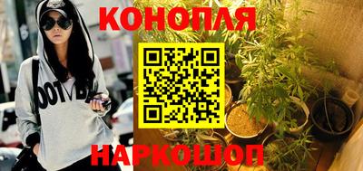 крисы Малгобек