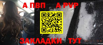 крисы Малгобек