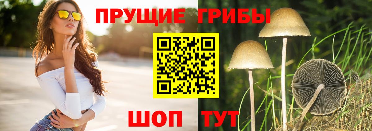 Шадринск  Псилоцибиновые грибы Cubensis  Вход с VPN 